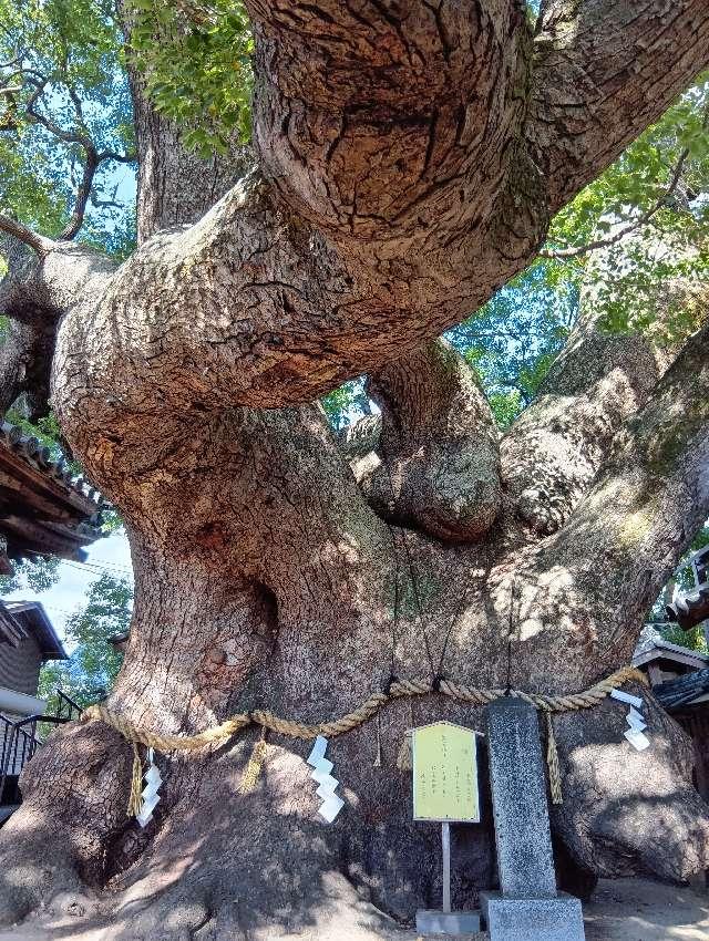 三島神社の参拝記録4