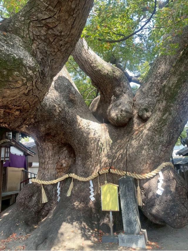三島神社の参拝記録7