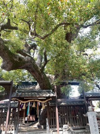 三島神社の参拝記録(なかまさん)