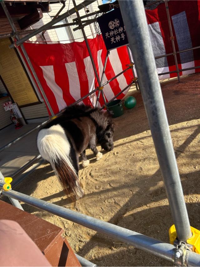 天神社の参拝記録6