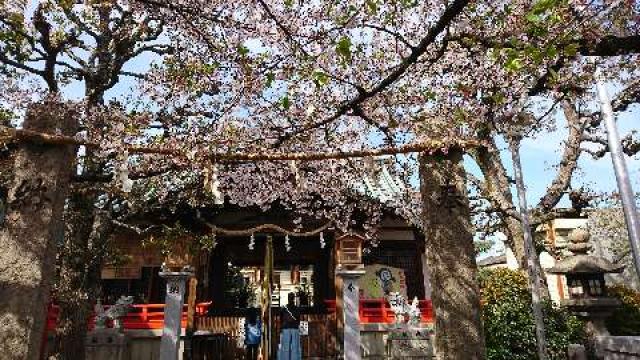 皇大神宮の参拝記録10