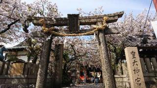 皇大神宮の参拝記録(すみれさん)