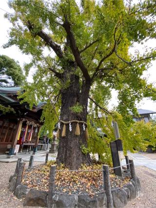 白山神社の参拝記録(エーキチさん)