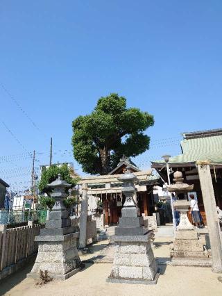 須佐之男尊神社(関目神社)の参拝記録(かいちゃんさん)