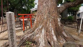 阿遅速雄神社の参拝記録(のぶちゃんさん)