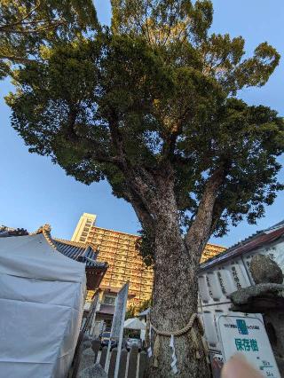 八幡神社（諸口八幡神社）の参拝記録(たこやきさん)
