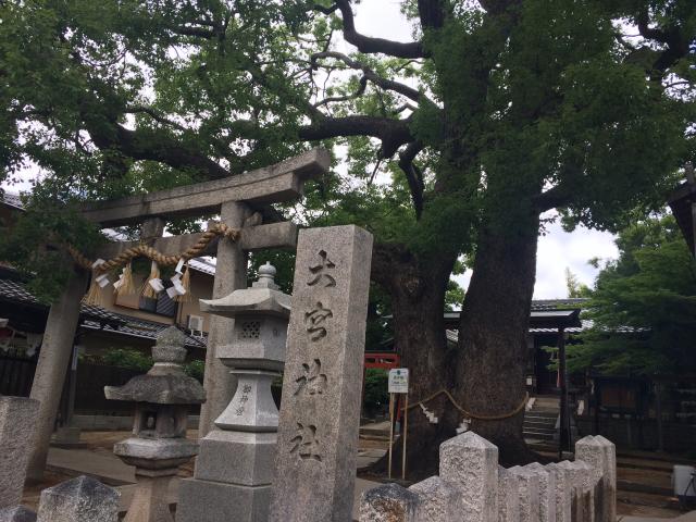 大神社の参拝記録4