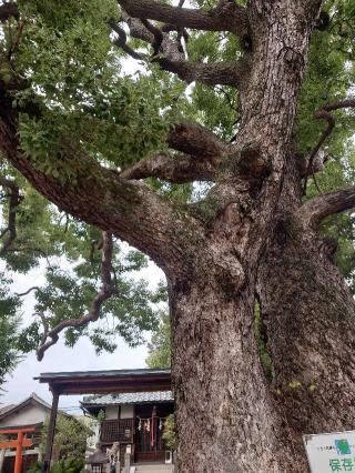 大神社の参拝記録(かいちゃんさん)