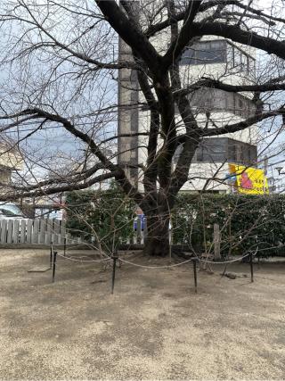 大宮の参拝記録(it oさん)