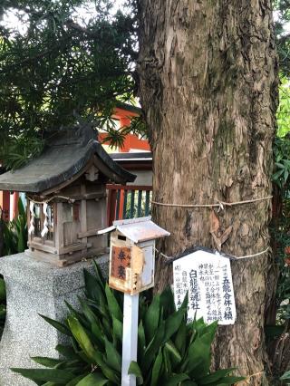 松山神社の参拝記録(KUMIKOさん)