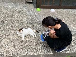 松山神社の参拝記録(ひろパパさん)