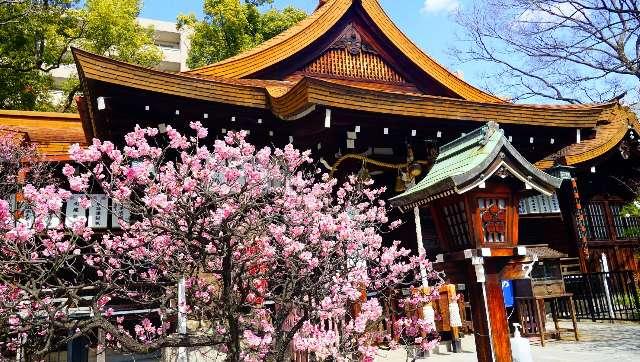 松山神社の参拝記録1