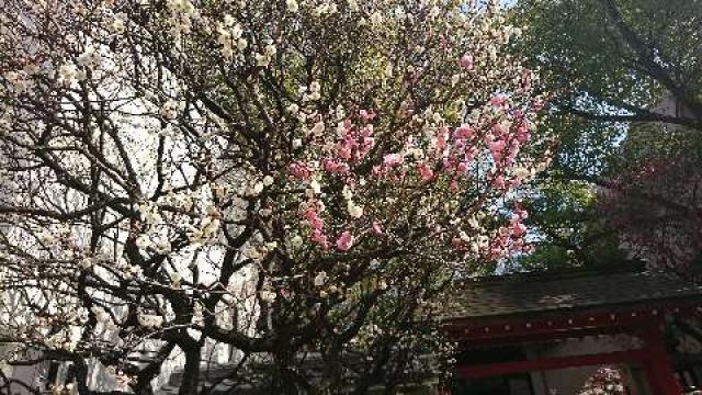 大阪府大阪市東淀川区小松４−１５−３８ 松山神社の写真1