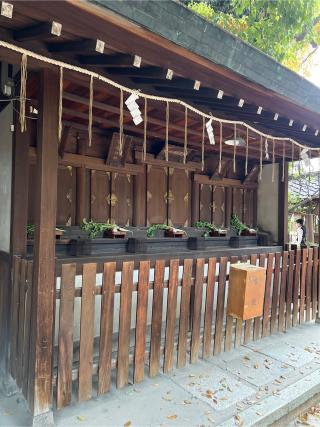 福島天満宮の参拝記録(⛩️🎠🐢まめ🐢🎠⛩️さん)