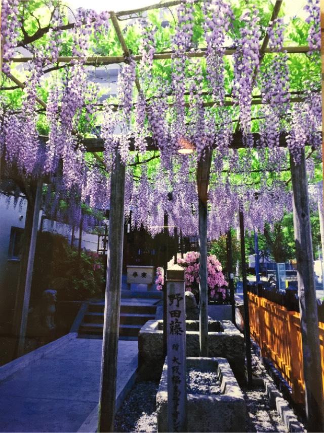 大阪府大阪市福島区玉川２−２−７ 春日神社（野田藤春日神社）の写真4