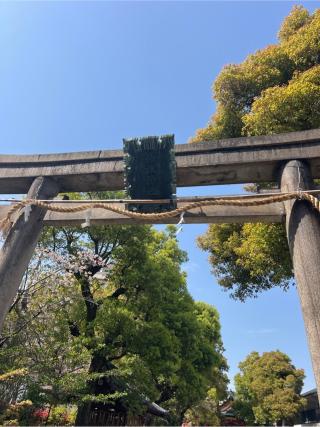 神津神社の参拝記録(⛩️🐍🐢まめ🐢🐍⛩️さん)