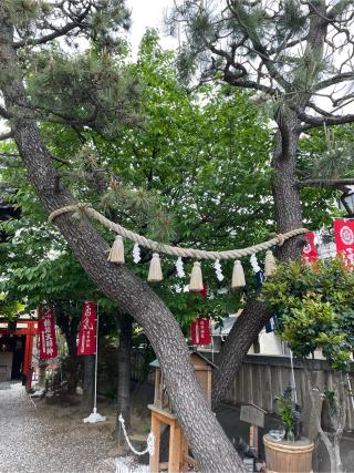 塚本神社の参拝記録(タロスさん)