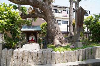 住吉神社（野里住吉神社）の参拝記録(のぶちゃんさん)
