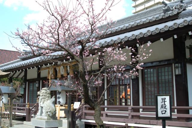 大阪府大阪市西淀川区佃１−１８−１４ 田蓑神社の写真1