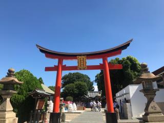 姫嶋神社 (やりなおし神社)の参拝記録(じゃすてぃさん)