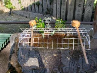 福住吉神社の参拝記録(すみれさん)