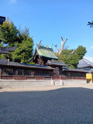 熊野大神宮の参拝記録(にるぼんさん)