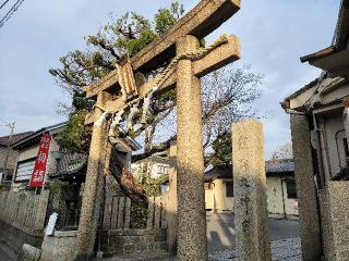 熊野大神宮の参拝記録(すみれさん)