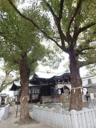 八王子神社の参拝記録(かいちゃんさん)