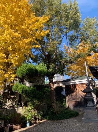 比賣許曽神社の参拝記録(古事記追随さん)