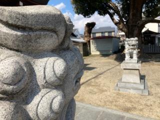 深江稲荷神社の参拝記録(すったもんださん)