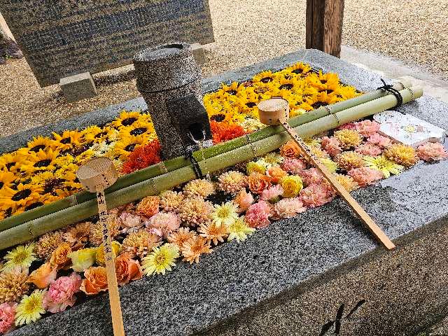 三社神社の参拝記録5
