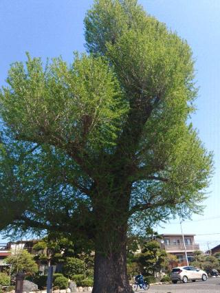 医王山密厳院の参拝記録(しんのすけさん)