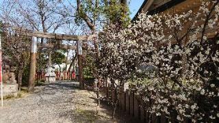 大江神社の参拝記録(のぶちゃんさん)