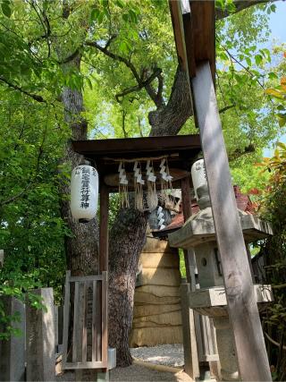 堀越神社の参拝記録(としくんさん)