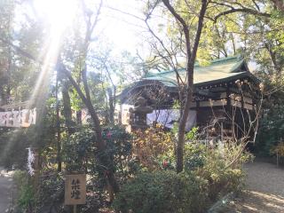 堀越神社の参拝記録(じゃすてぃさん)