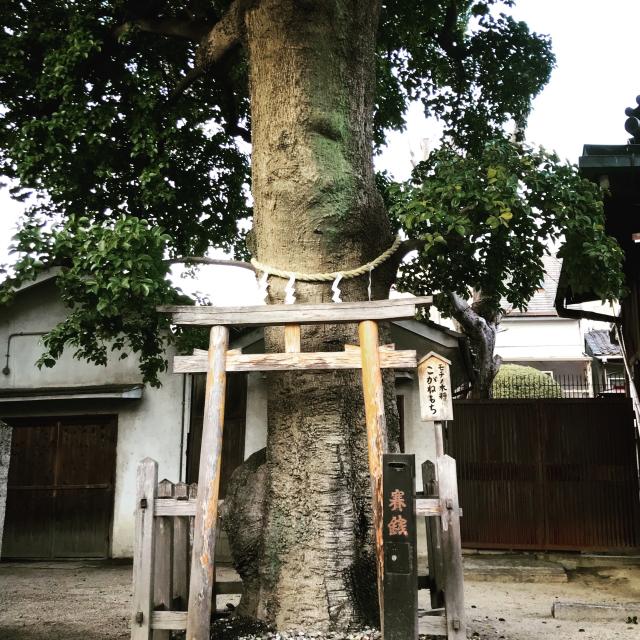 田島神社の参拝記録2