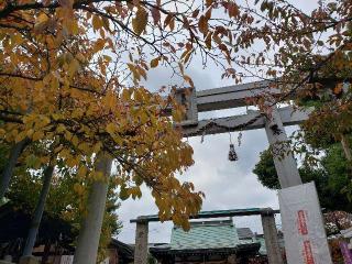 生野八坂神社の参拝記録(すみれさん)