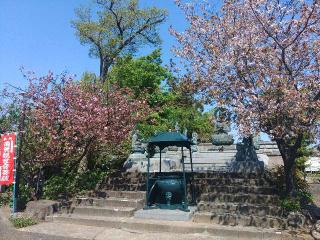 蓮華山 定勝寺の参拝記録(しんのすけさん)