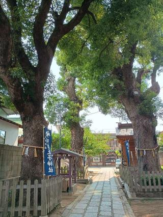 阿倍王子神社の参拝記録(監督まっちゃんさん)