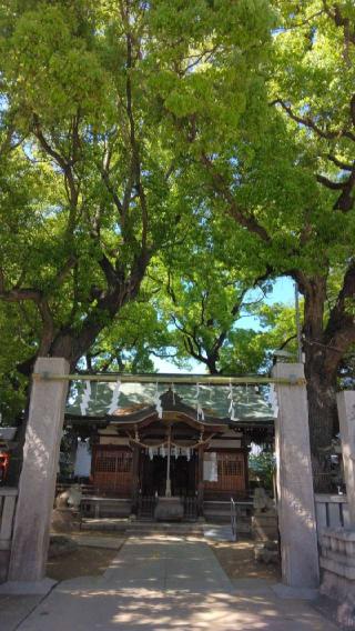 天神社（桑津天神社）の参拝記録(あきおさん)