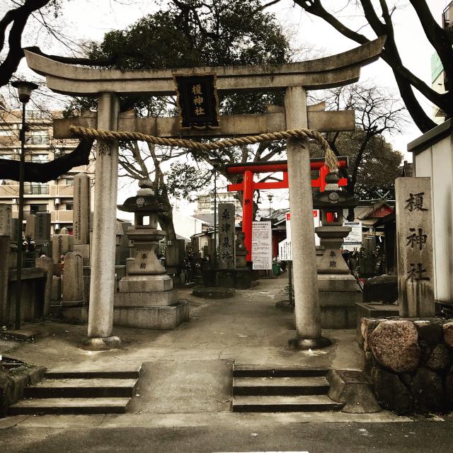 大阪府大阪市東住吉区北田辺１−９−２０ 榎神社の写真1