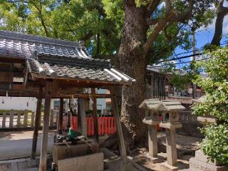 保利神社の参拝記録(りょうさん)