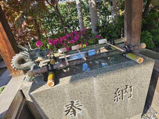 加賀屋天満宮の参拝記録(すみれさん)