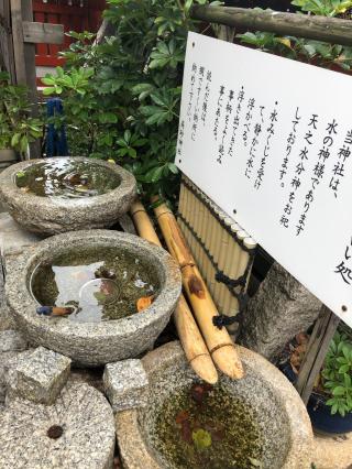 高砂神社の参拝記録(ショウゴさん)