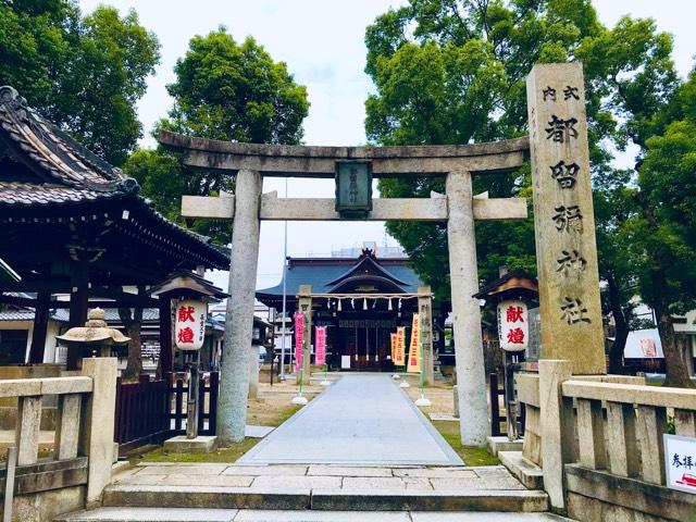 都留彌神社の参拝記録7