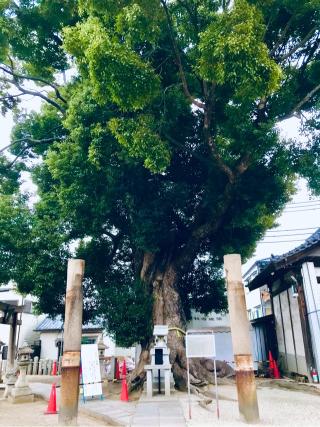 天神社(御厨神社)の参拝記録(ふうりんパパさん)
