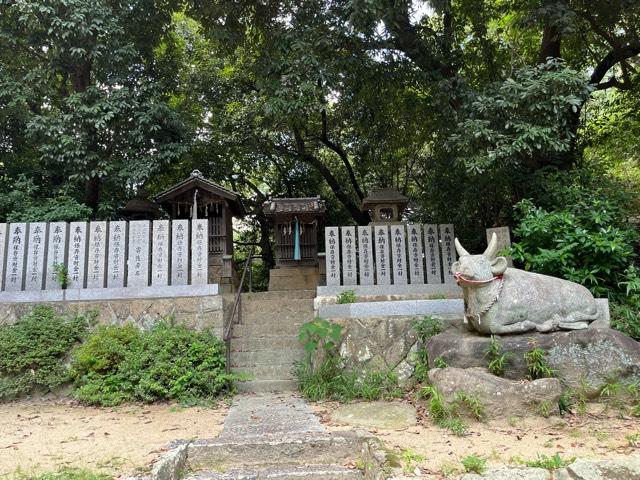 大阪府東大阪市善根寺町６−７−６７ 春日神社 (善根寺春日神社)の写真13