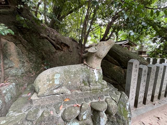 大阪府東大阪市善根寺町６−７−６７ 春日神社 (善根寺春日神社)の写真14