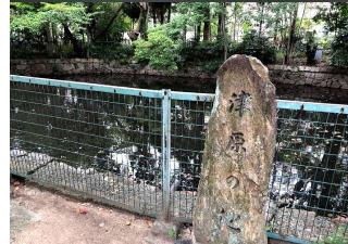 津原神社の参拝記録(すみれさん)