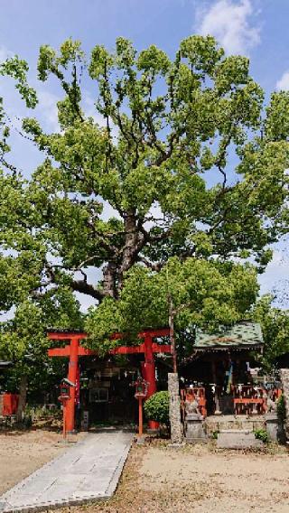 西堤神社の参拝記録(まふふさん)